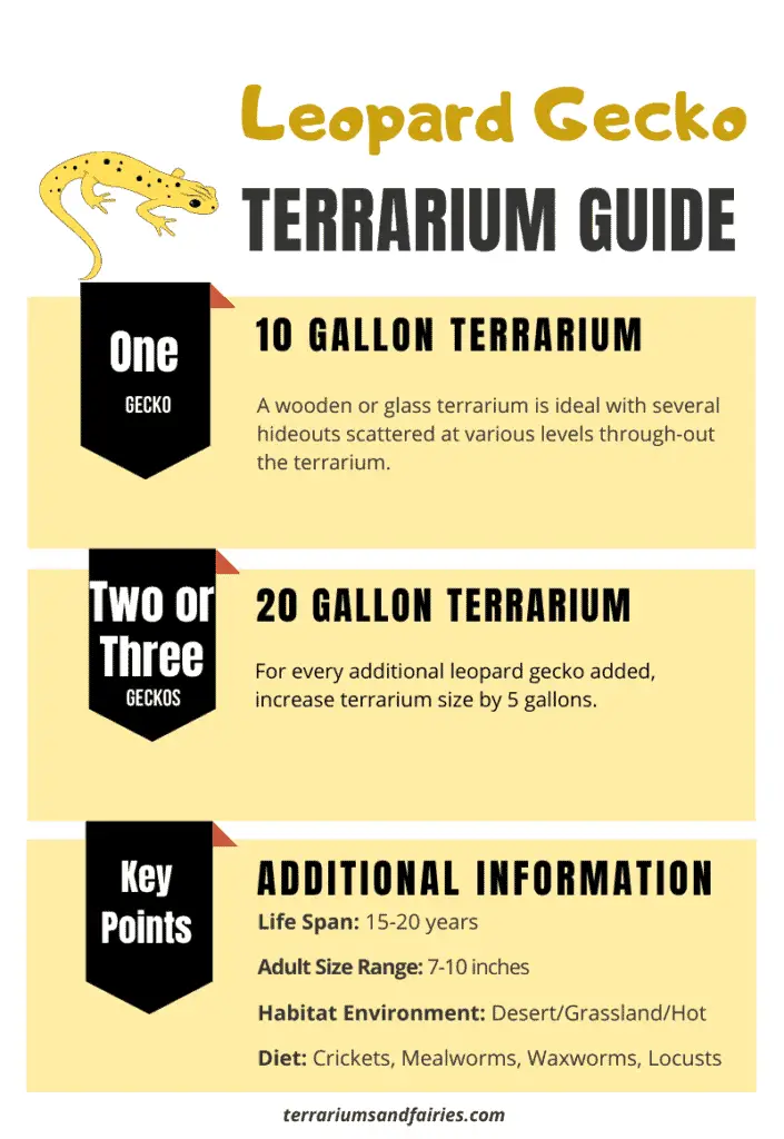 Leopard Gecko Terrarium Size