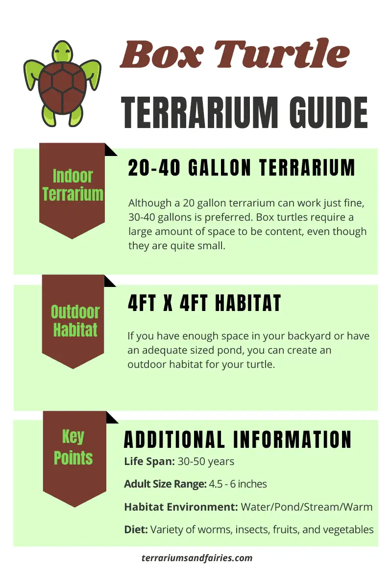 These 15 Reptiles Can Live In A Terrarium/Vivarium Vivarium Vibes