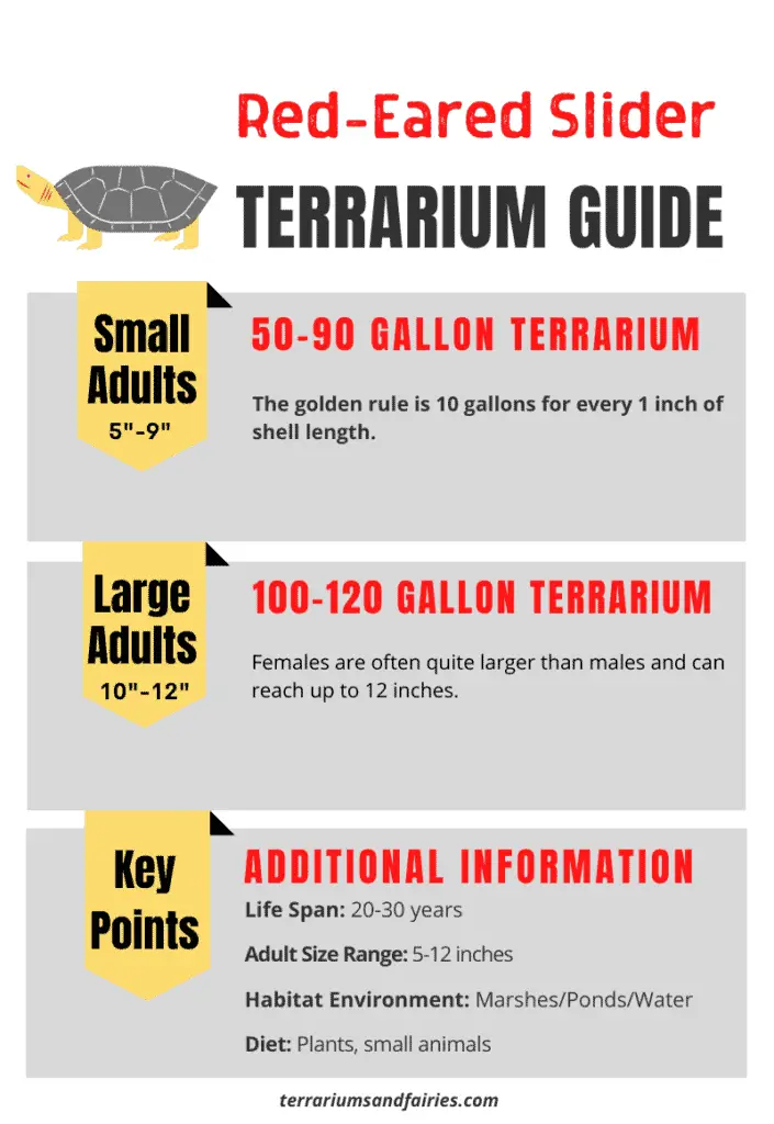 Red Eared Slider Terrarium Size