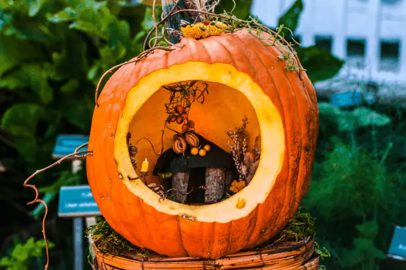 Spooky fairy garden