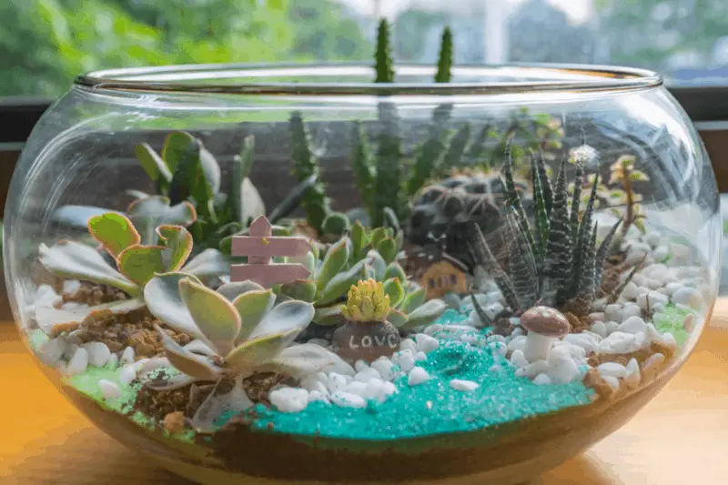 fairy garden terrarium