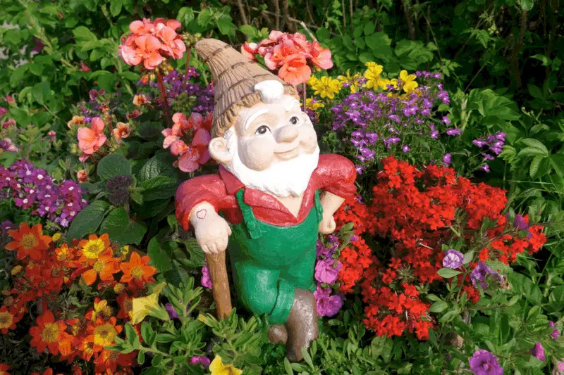 gnome garden