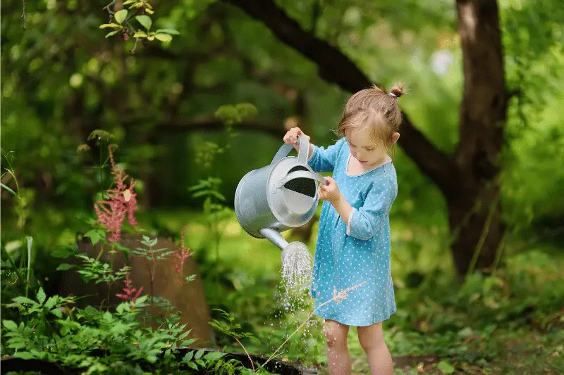 watering garden