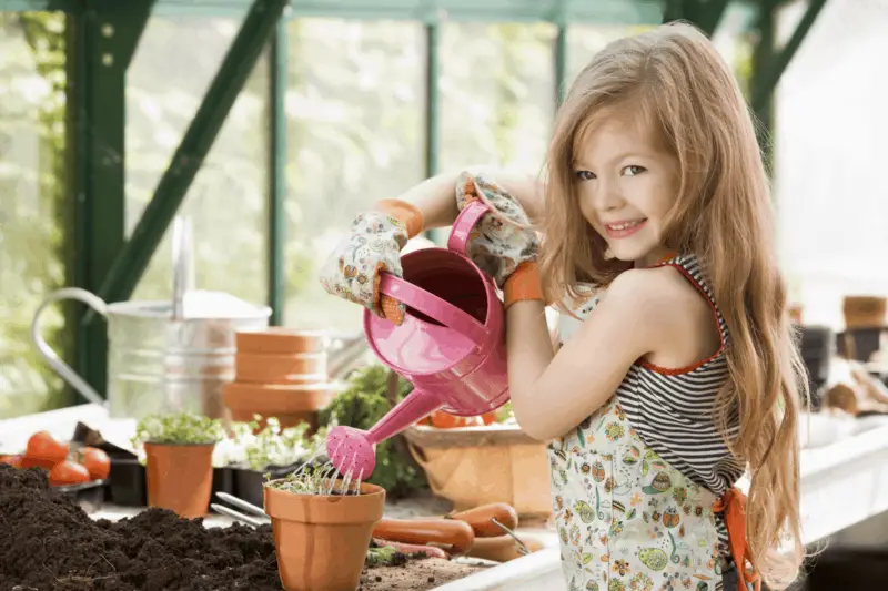 watering garden