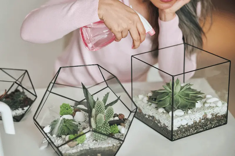 water open terrarium