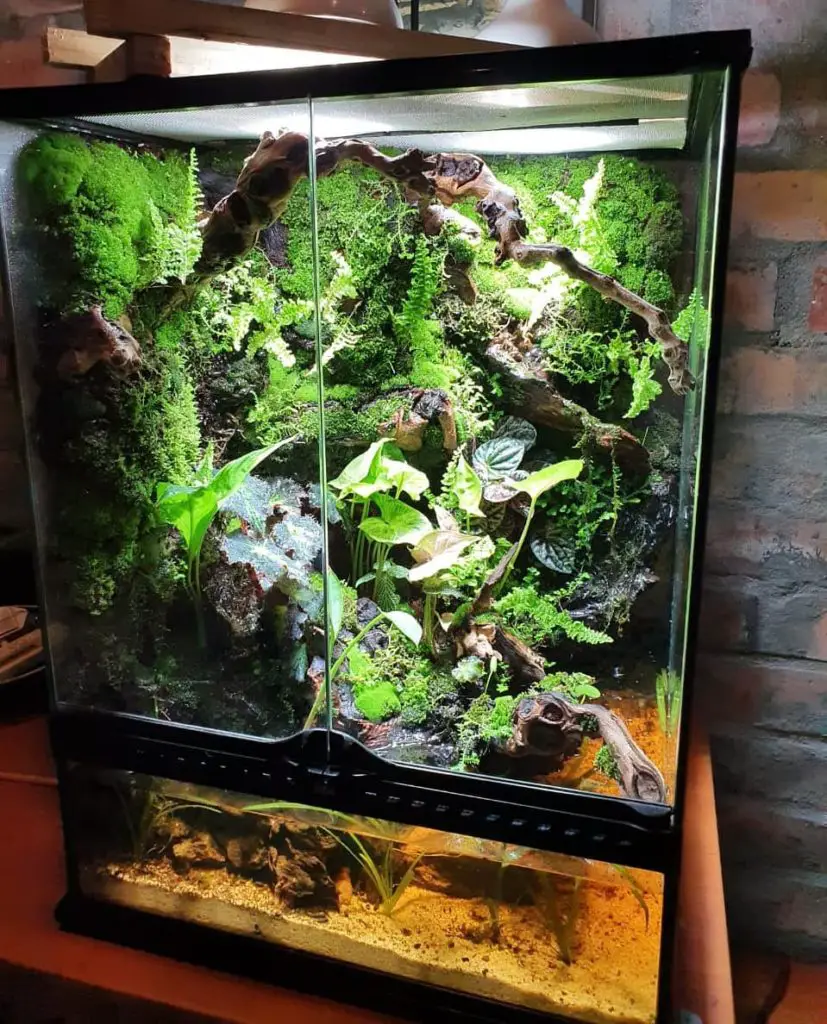 Paludarium